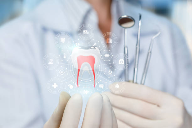 Best Wisdom Tooth Removal  in Oak Hill, FL